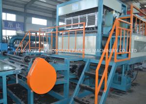 Quality Rotary Pulp Molding Machine , Recycled Paper Egg Carton Machine wholesale