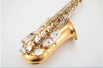 High-end saxophone, E flat, children, beginners, adults, playing musical