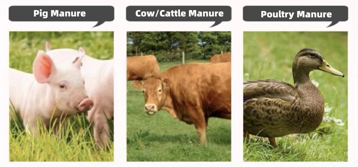 Livestock Farm Biogas Manure Handling Equipment Solid Liquid Separator