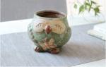 Succulent Creative Animals Owl Simple Plant Flowerpots