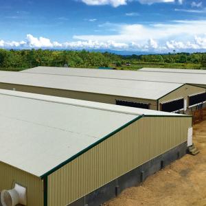 Quality OEM Welding Prefabricated Poultry House Steel Sheet Glass Wool Insualtion wholesale