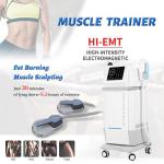 4 Handles Sculpture Fat Burning Machine 300W - 5000W Neo Slim Machine
