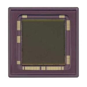 Quality CYIL1SM4000AA-GDC wholesale