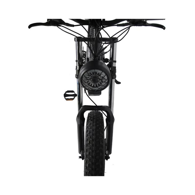 Disc Brake 2023 Style 20" Fat Tire Electric Enduro E-Bike for Off Road MTB Bicycle
