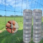 Galvanized Wire Mesh 5 Foot Cattle Fence Agricultural Rural Fencing