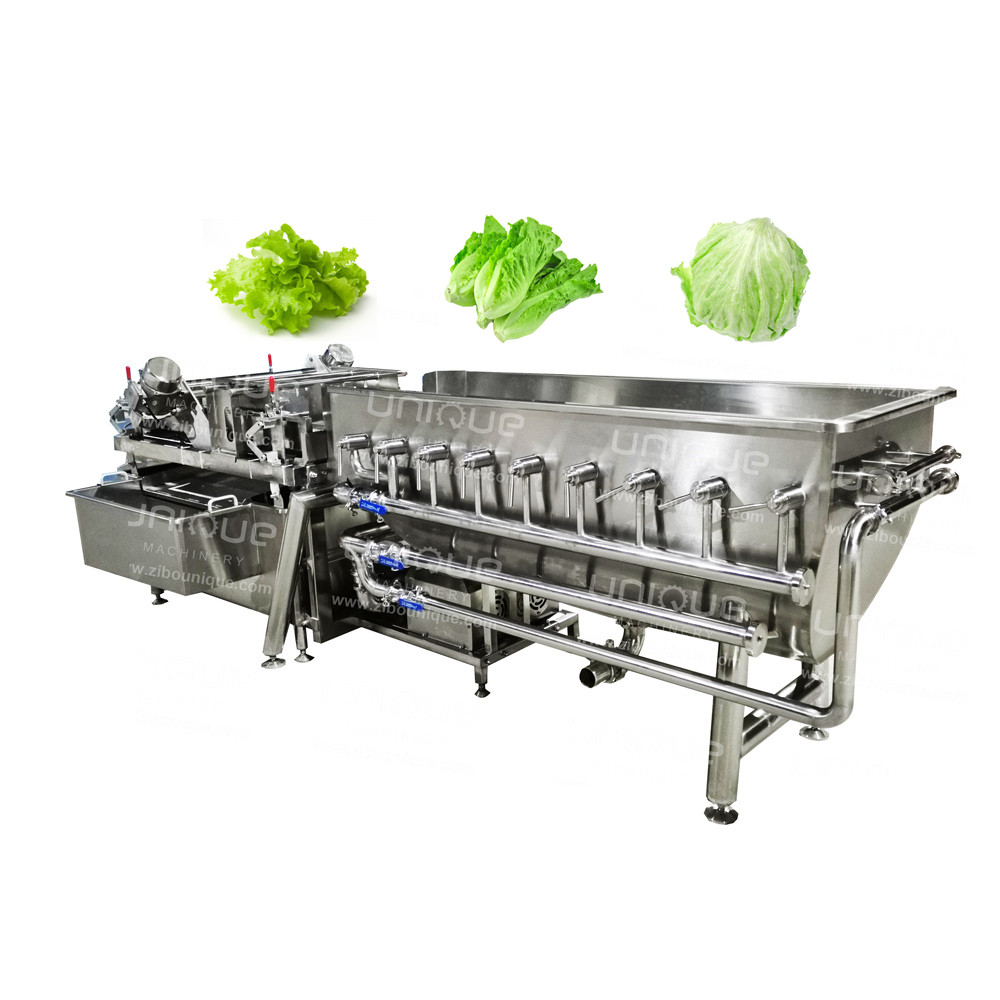 CE Certified Salad Lettuce Washer Washing Machine for Fresh and Clean Produce