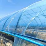 High Quality Clear UV Resistant Greenhouse Film Plastic Agriculture For