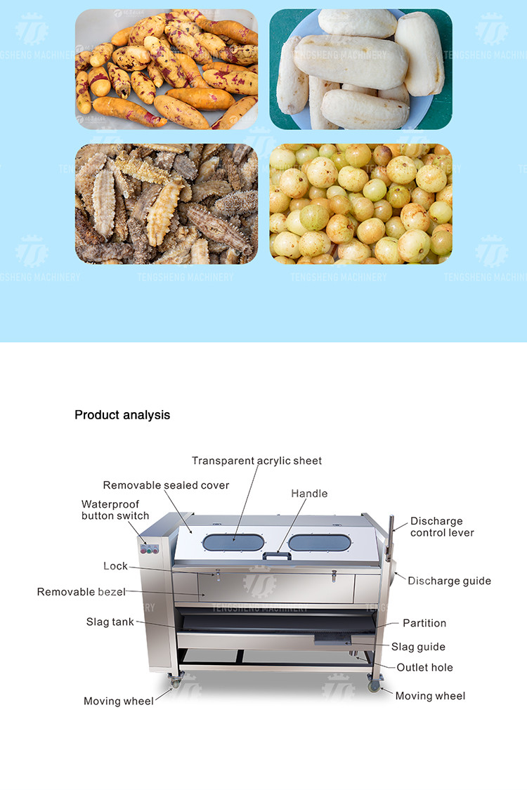 1500KG/H Root Vegetable Washing And Peeling Machine For Restaurant