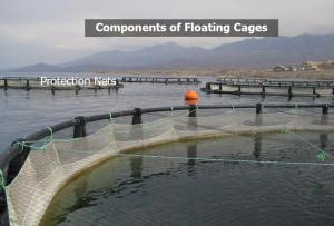 Quality Deepsea 0.97g/Cm3 HDPE Floating Net Cage For Sea Aquaculature wholesale