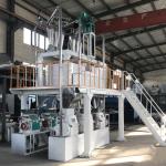 10-20 Ton Automatic Feeder Wheat Milling Machine for South Africa Flour Milling