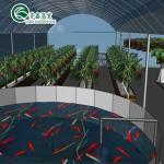 Vegetable Fruits Flowers Aquaponics System Multi-Span Agricultural Greenhouses