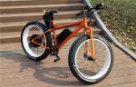Long Range 250w Big Tire Mountain Bike For Boys / Girls 25kph 36v