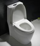 Map1000 Dual-Flush Elongated One-Piece Toilet Seat Included Small Bathroom