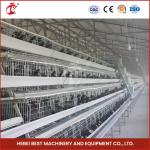 Poultry Q235 Steel Wire Chicken Battery Cage With Automatic Drinker Accessories