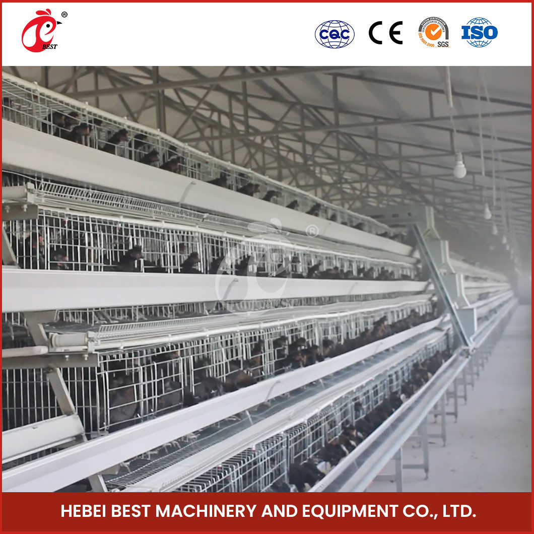 A Or H Type 4 Tier 160 Birds Layer Chicken Battery Cage For Egg Production Sandy