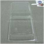 Disposable Fruit Packaging Box-Factory Offer Disposable Plastic takeaway