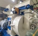 200kw 3500kg/H Wood Sawdust Pellet Making Mill Machine 2 Rollers