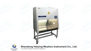 Quality B2 BSC Biological Safety Cabinet Ergonomic SS worktable wholesale