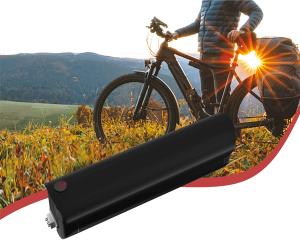 Quality 18650 13S3P E Bike Li Ion Battery Pack customized cell brand wholesale
