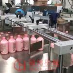 Automatic 4 Head Liquid Filling Machine for Packaging Edible Oil/Shampoo/Liquid