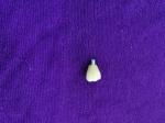 Single Tooth Trushine OSSETEM Dental Implants Fixture Level
