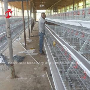 Quality Layer Farming Use 2 Tier Battery Cage Poultry House Hot Dip Galvanized Sandy wholesale
