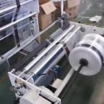 Fully Biodegradable Bag Making Film Blown Extruion Machine