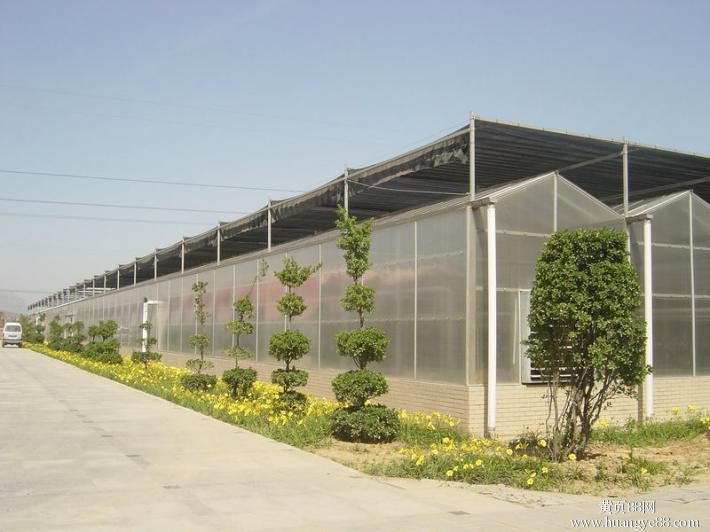 Section 4m Commercial Hydroponic Greenhouse For Lettuce / Cucumber / Tomato