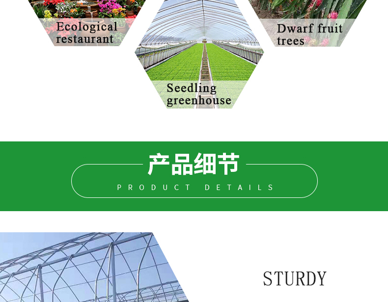 PO Film Double Layer Hydroponic Container for Superior Plant Growth Results