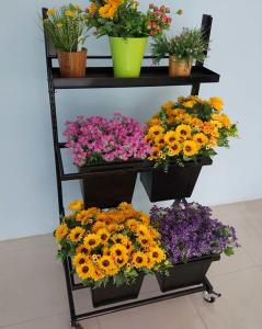 Quality Movable Flower Display Rack / Floral Display Stands In Home Garden wholesale