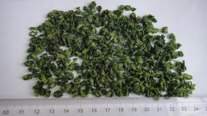 Quality Air Dried dehydrated Green Beans cross Cut New Crop 2019 wholesale