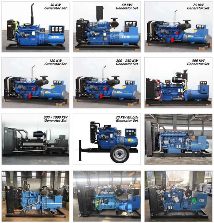 Blue 200kw Diesel Generator Leroy Somer Alternator Electric Generating Set