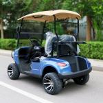 Luxury Blue 2 Seater Electric Golf Cart Lead-Acid Battery Lithium Battery