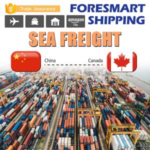 Quality 40FT Container Shenzhen To Canada FCL Sea Freight wholesale