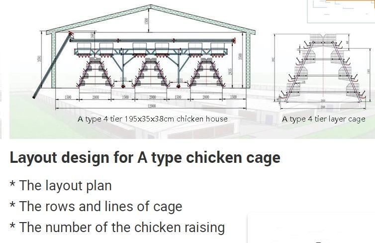 High Corrosion Resisten Automatic Chicken Cage Wire Poultry Cages Easy To Install