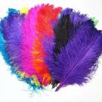 Ostrich Feather for Millinery Supplies EMS Shipping Party and Carnival