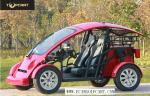 Mini Small Two Seater Golf Cart , Safty 4 Wheel Golf Cart With Vacuum Tire