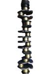 1123106751 Crankshaft Isuzu 6wg1 Engine Parts