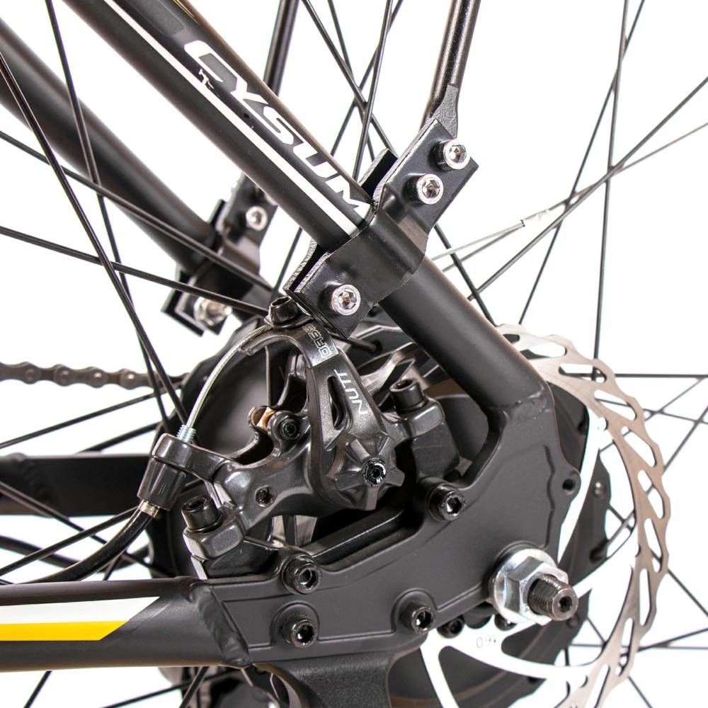 Electric Mountain Bike Fat Tyre Ebike 1000w Big Tire Electric Bicycle Hardtail Frame