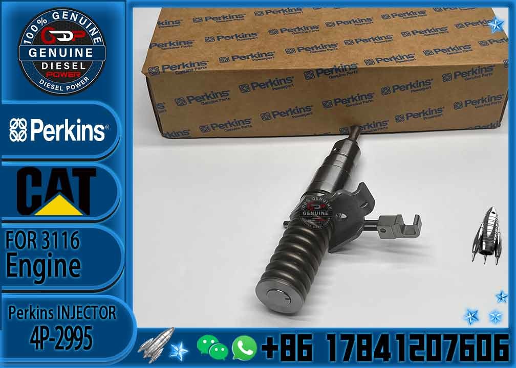 Excavator Parts CAT 3114 3116 3216 Engine fuel injector fuel injector 4P-2995 6I-3669 0R-8471 0R-8475 0R-8473
