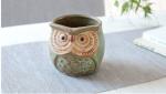 Succulent Creative Animals Owl Simple Plant Flowerpots