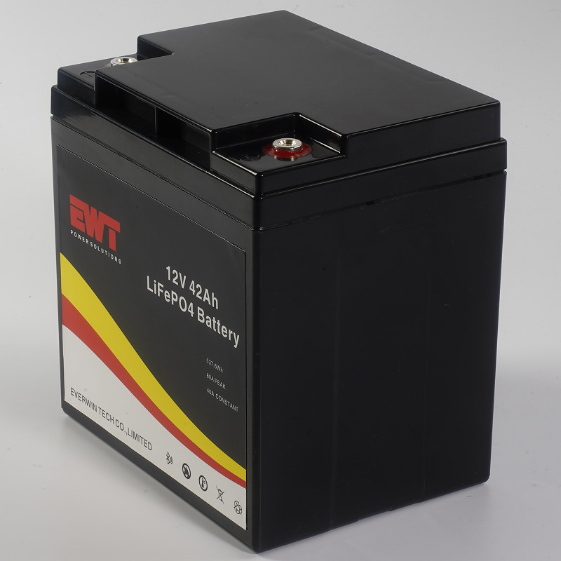 Lightweight 4.5kg 12V 42Ah Lithium Iron Phosphate Battery for Your Industrial Needs