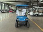 60V Battery Powered Lithium Golf Cart for 6 Passengers