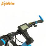 Alloy Type 36v 350w Powerful Electric Bike , Electric Road Bike For Adults