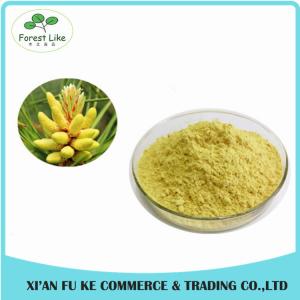 Quality Pure Natural Meadow Pine Extract Powder 4:1 - 20:1 wholesale