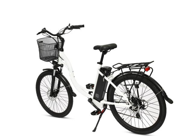 Power Assist 350w Electric Bike 20'' Wheels with Removable 36V Lithium Ion