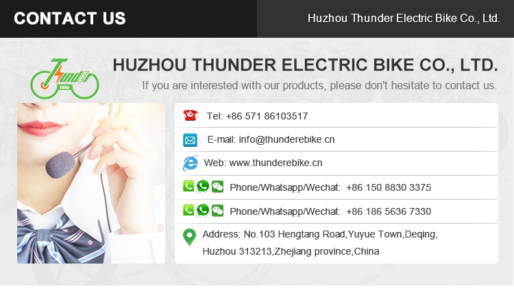 Max Speed 30-50Km/h Disc Brake Electric Fat Tire Bike 48V 400W Motor Ebike