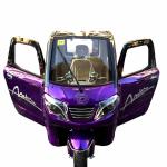 40 - 60km Enclosed Three Wheel Electric Trike