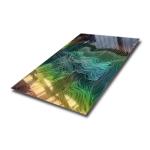 304 316 Art Pattern 3D Laser Finish Stainless Steel Decorative Sheet For