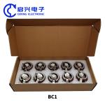 BC1 Porcelain Plate Adjustable Resistor 500W 5R 5 Ohm Dual Couplet